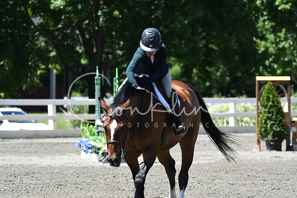 HSM_0938