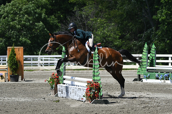 HSM_0944
