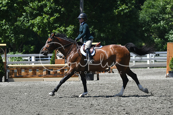 HSM_0946