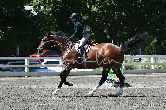 HSM_0947