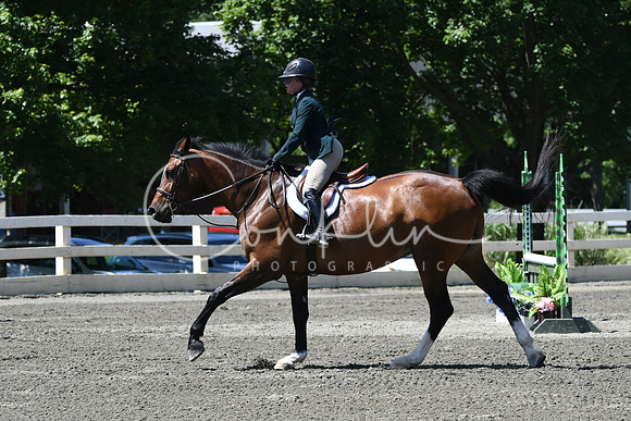 HSM_0948