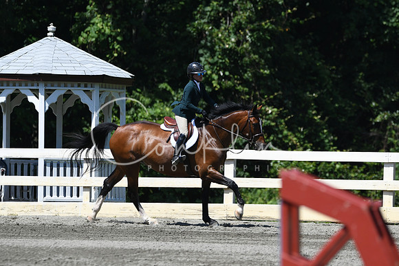 HSM_0951