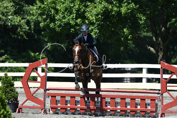 HSM_0954