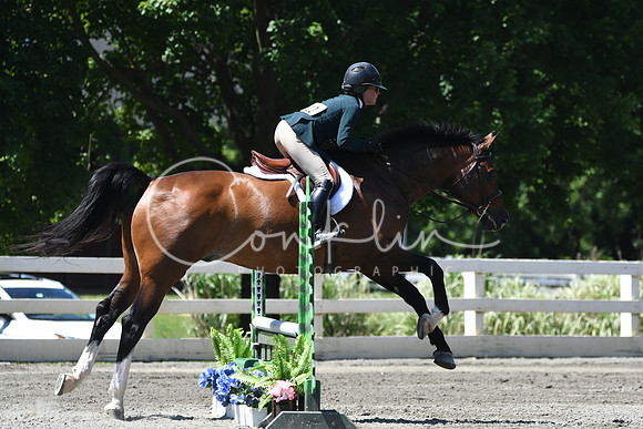 HSM_0960