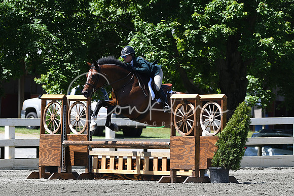 HSM_0961