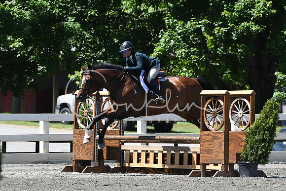 HSM_0962