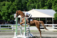 HSM_2132