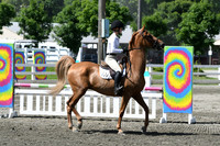 HSM_2329