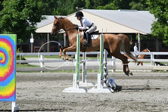HSM_2333