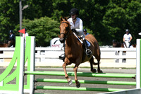 HSM_2337