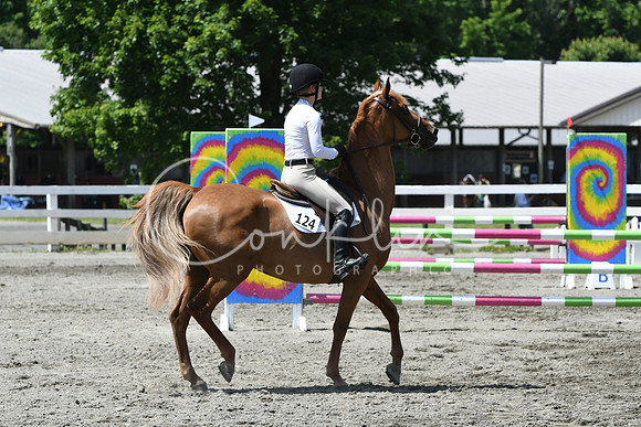 HSM_2631
