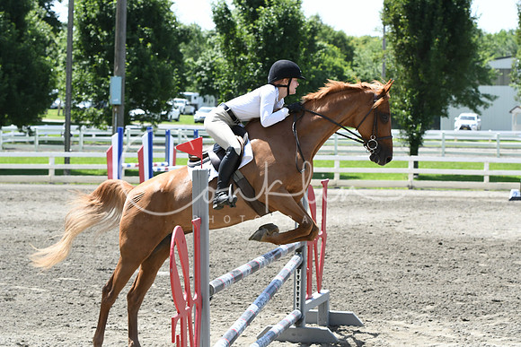 HSM_2643