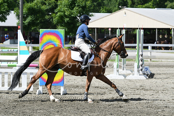 HSM_2438