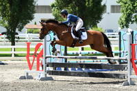 HSM_2450