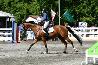 HSM_2453
