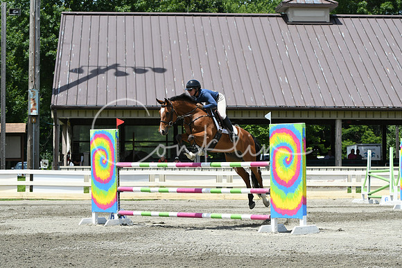 HSM_3199
