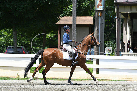 HSM_3203