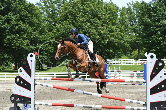 HSM_3208