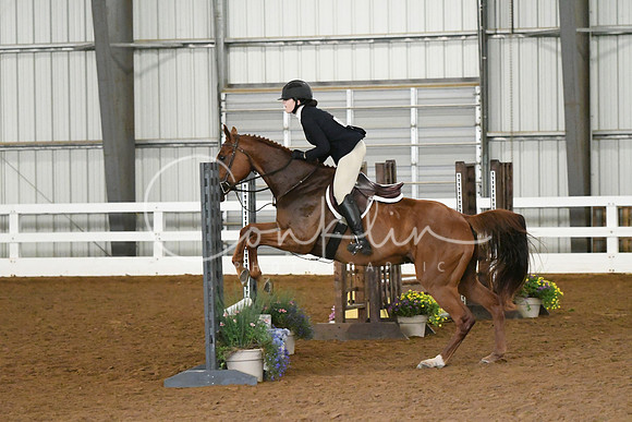 HSM_6729