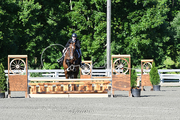 HSM_0213