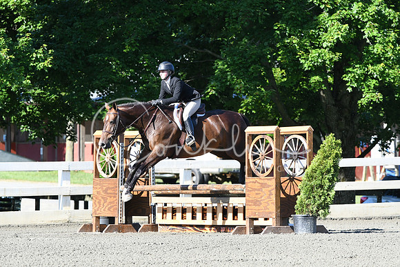 HSM_0219