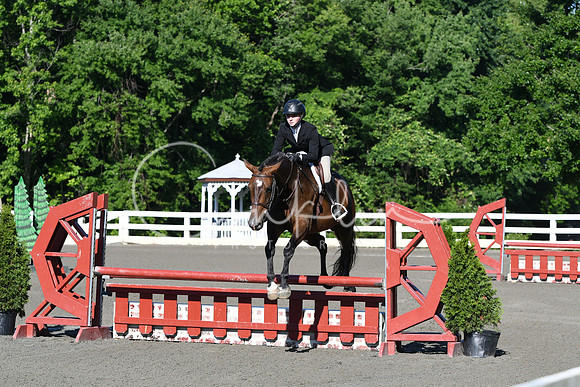 HSM_0223