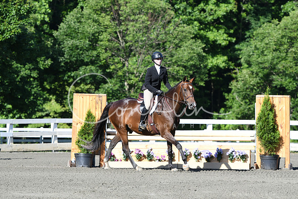 HSM_0224