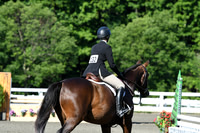 HSM_0307