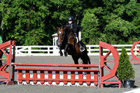 HSM_0313