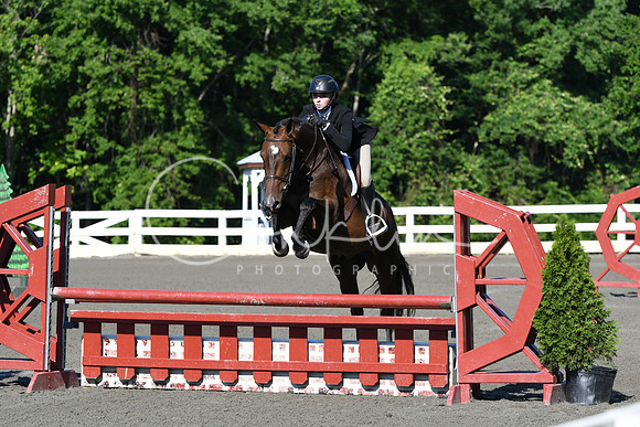 HSM_0313