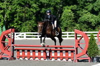 HSM_0314