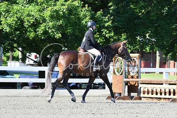 HSM_0385