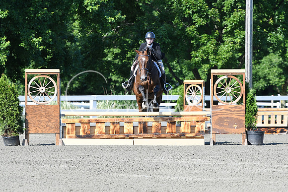 HSM_0387
