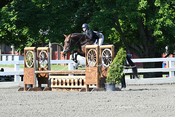 HSM_0391