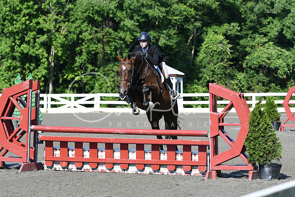 HSM_0395