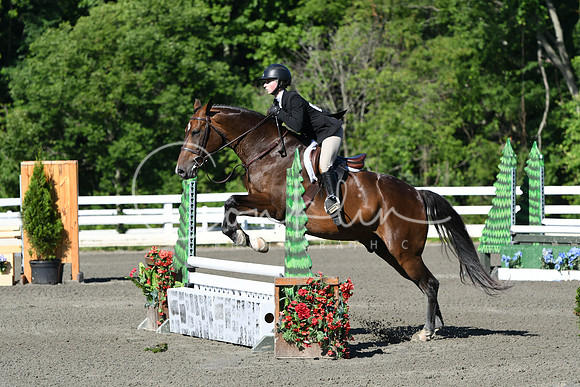 HSM_0457