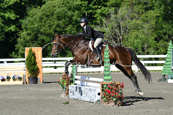 HSM_0458