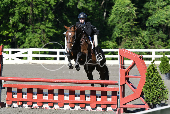HSM_0460