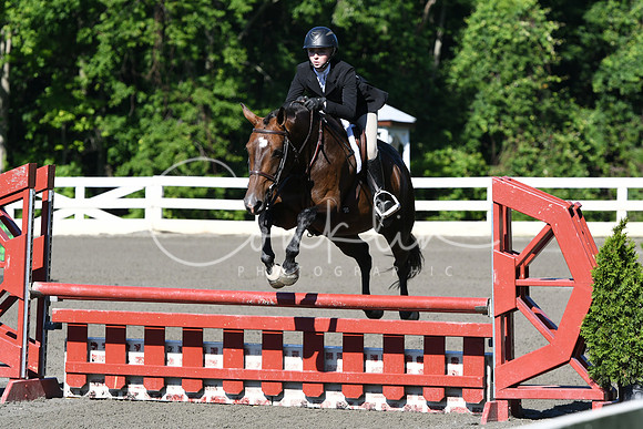 HSM_0461