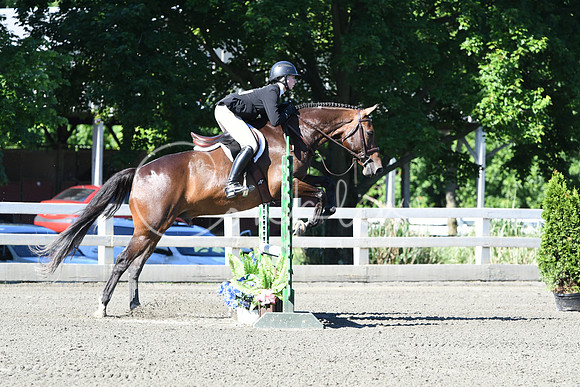 HSM_0463