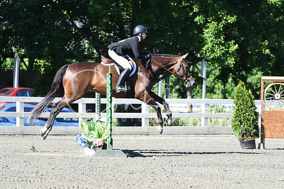 HSM_0464