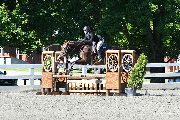 HSM_0466
