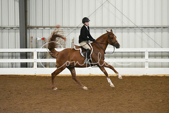 HSM_5879