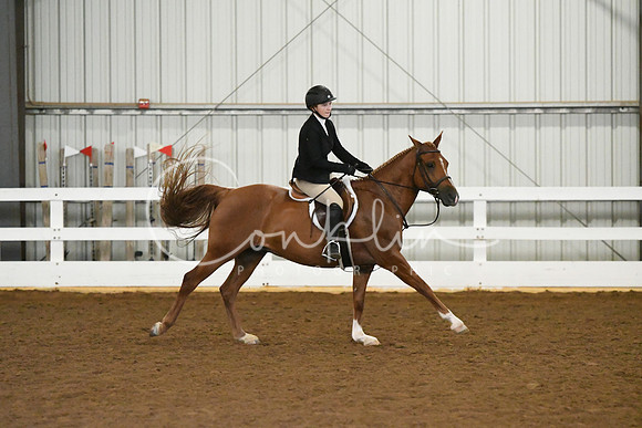HSM_5880