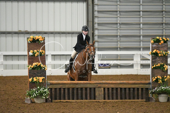 HSM_5917