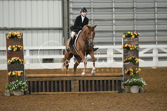HSM_5919