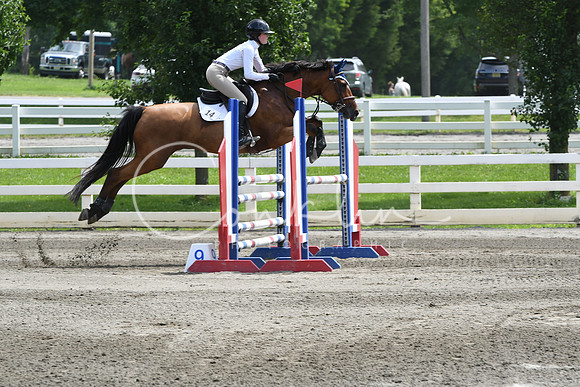 HSM_5113