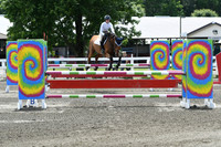 HSM_5118