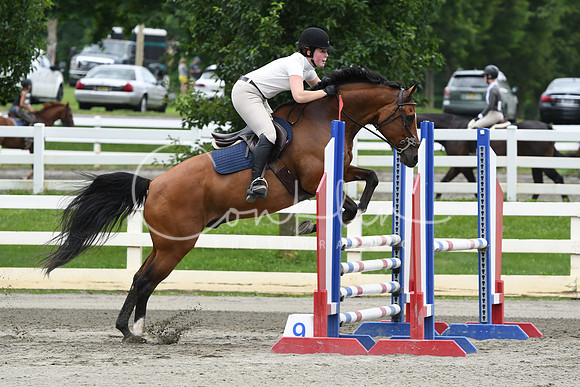HSM_4491