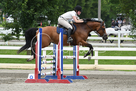 HSM_4493